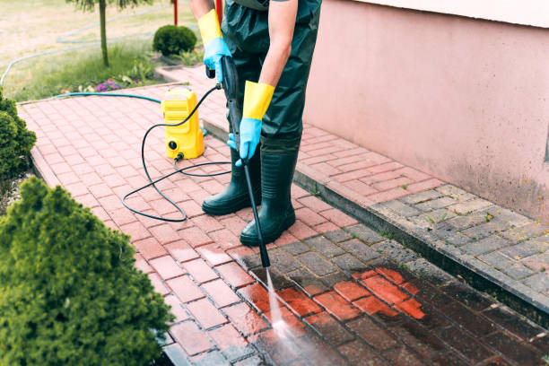 Best Roof Pressure Washing  in Redwater, TX
